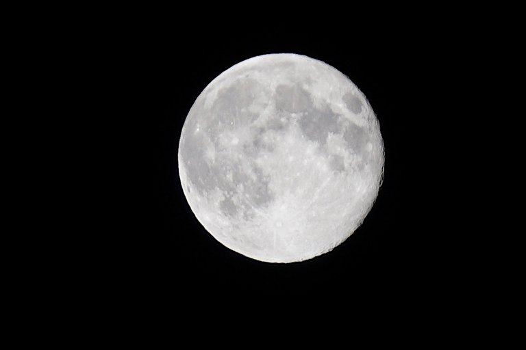 _DSC5376.JPG