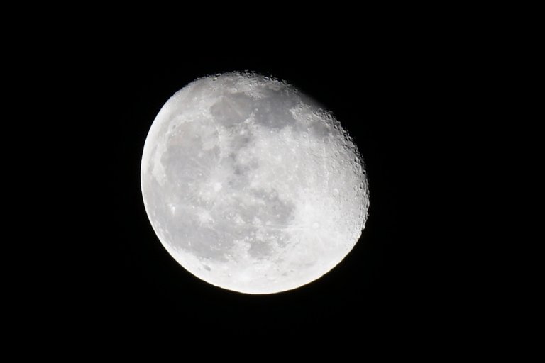 _DSC2240.JPG