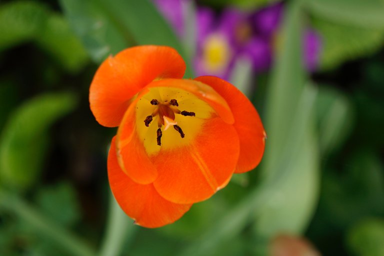 _DSC5387.JPG