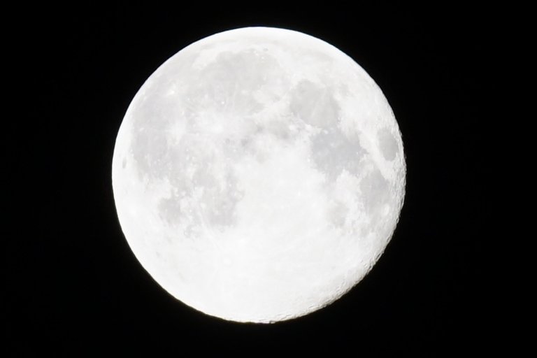 _DSC1174.JPG