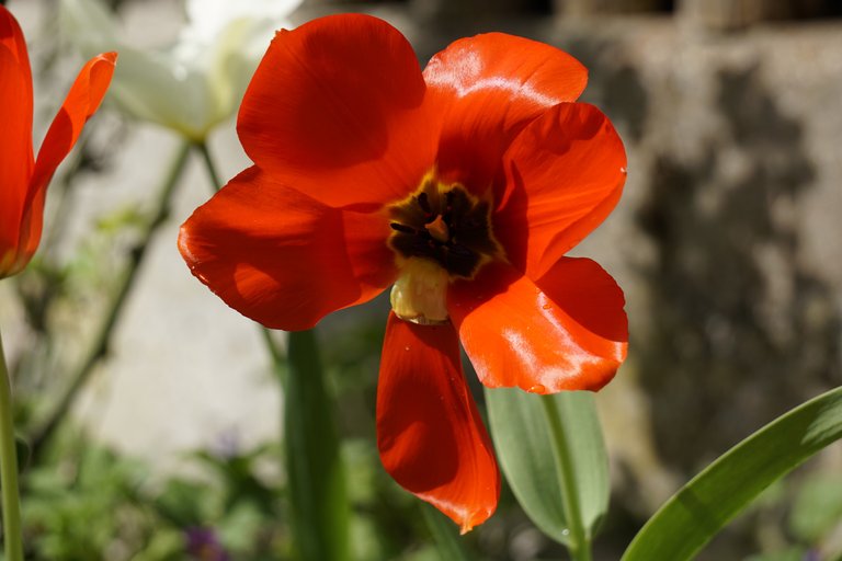_DSC5375.JPG