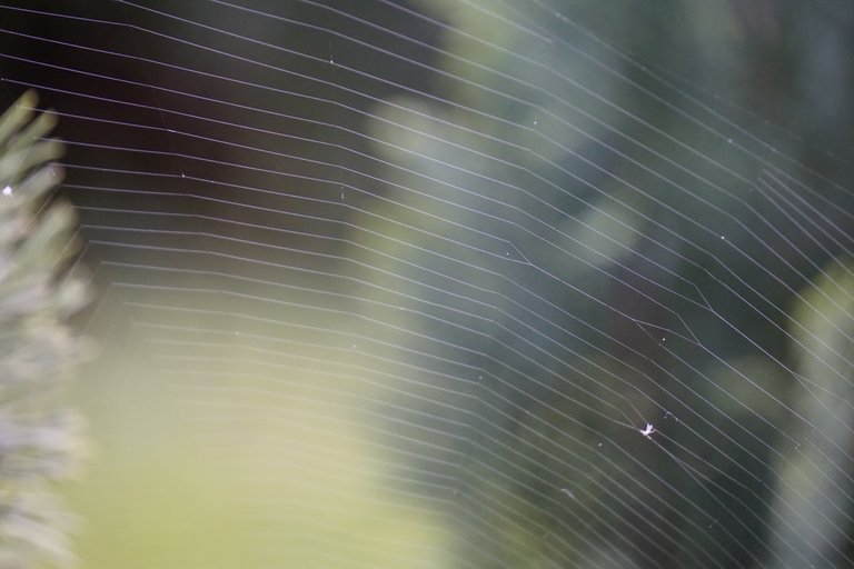 _DSC2080.JPG