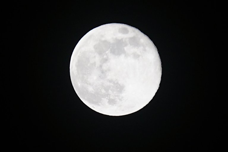 _DSC5365.JPG