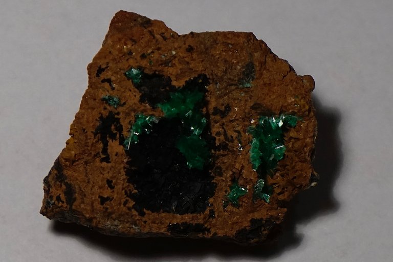 _DSC3006.jpg