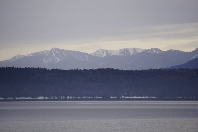 _DSC6485.JPG
