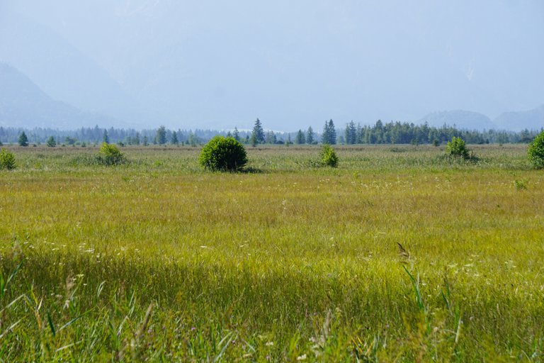 _DSC3439.JPG