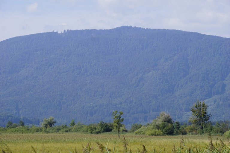_DSC3443.JPG