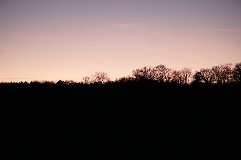 _DSC2976.JPG