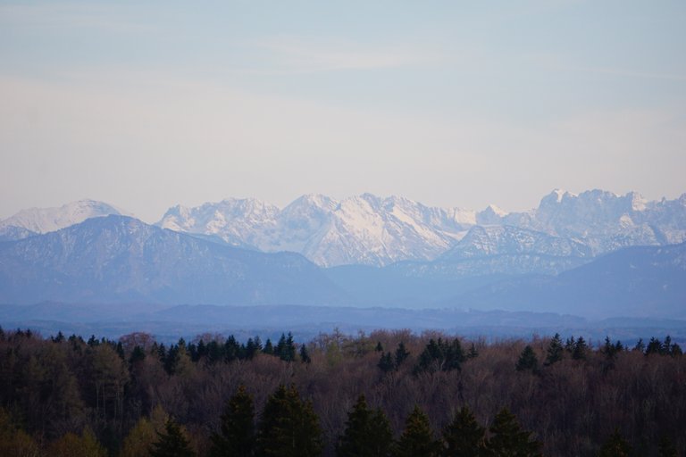 _DSC4985.JPG