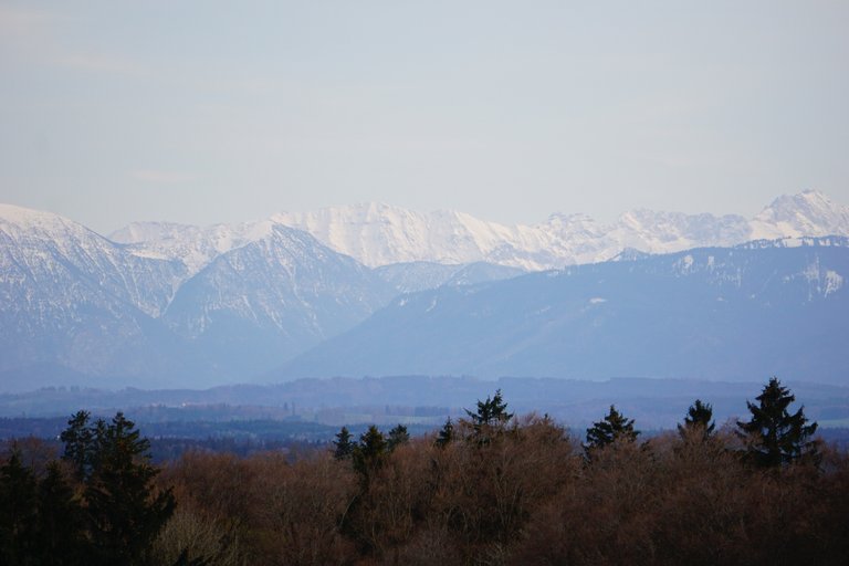 _DSC4983.JPG