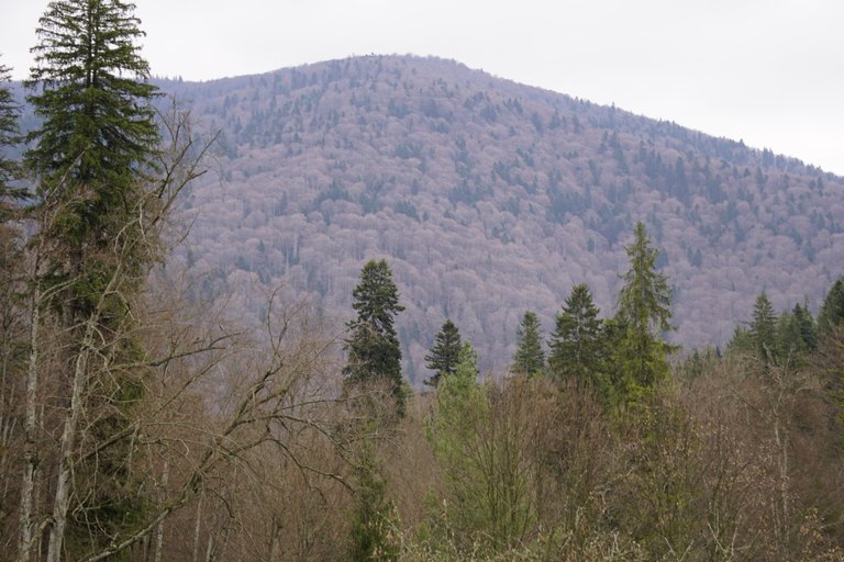 _DSC4481 3.JPG