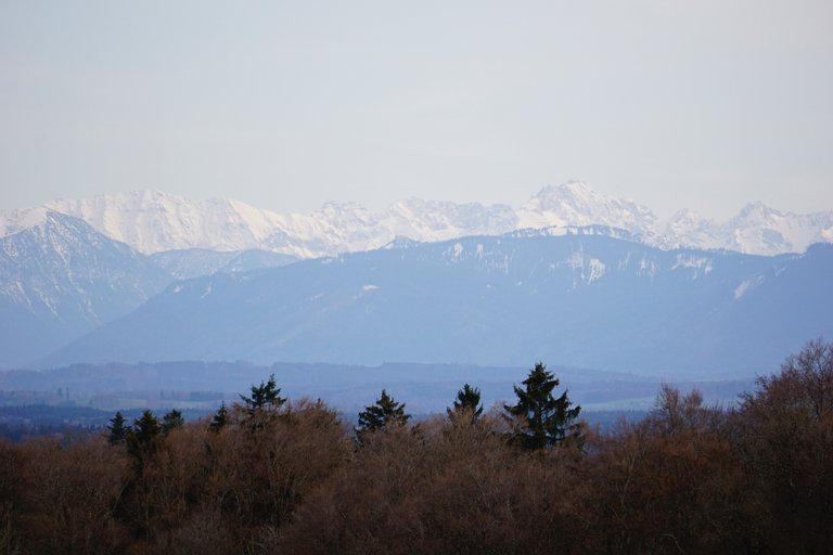 _DSC4984.JPG