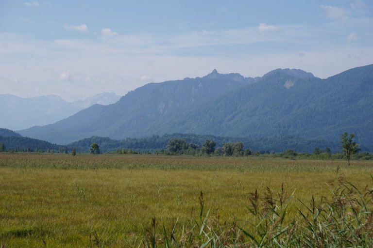 _DSC3448.JPG