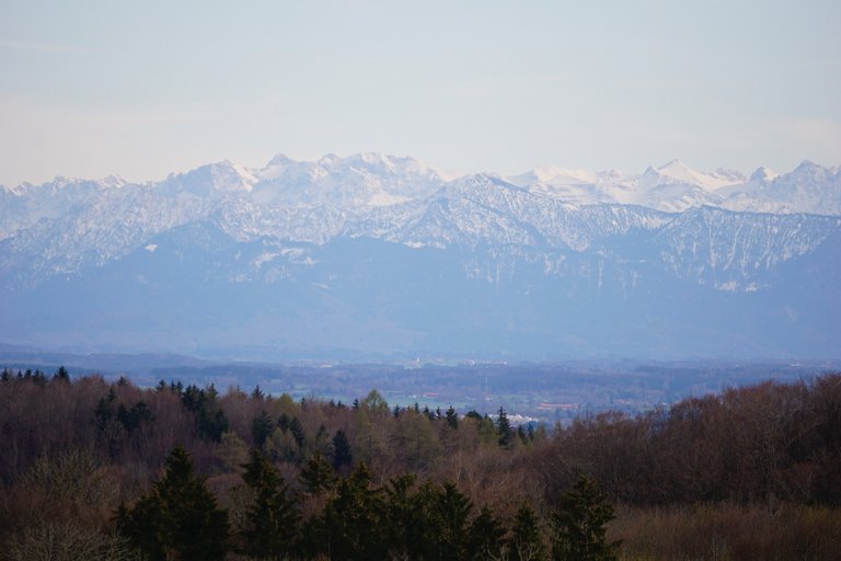 _DSC4981.JPG