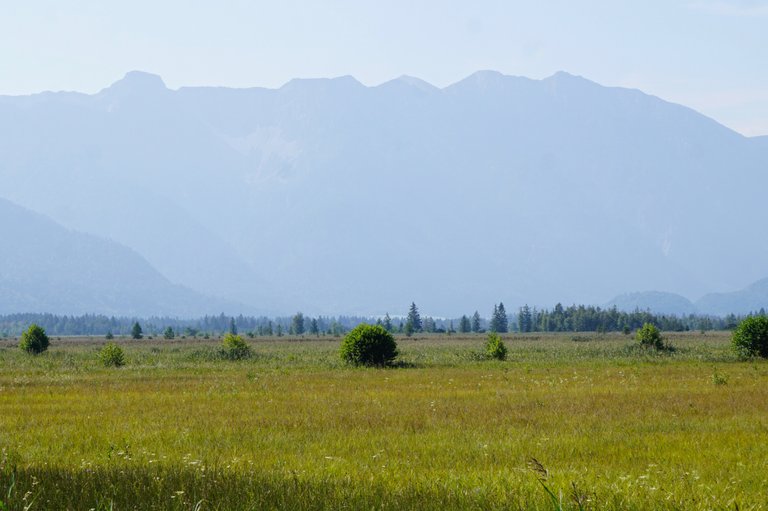 _DSC3440.JPG