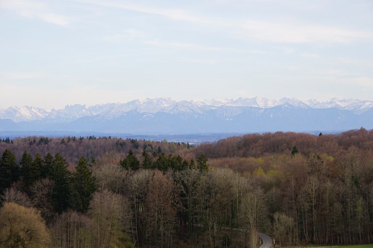 _DSC4986.JPG