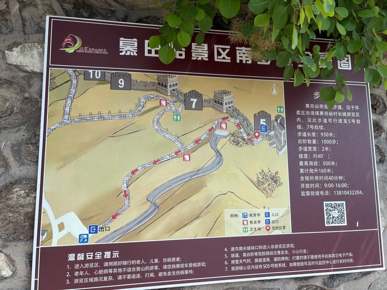 IMG_8938.jpeg