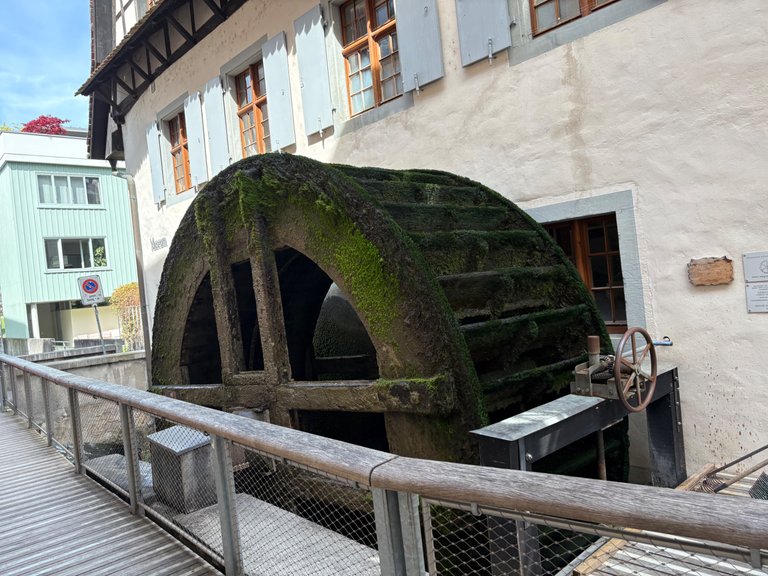 IMG_6449.jpeg