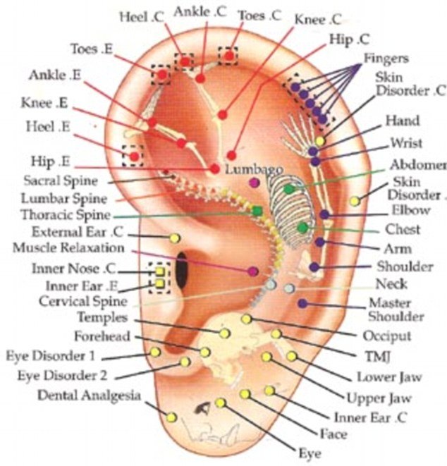 Auricular-chart.jpg