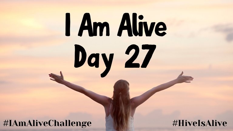 I Am Alive Day 27.jpg