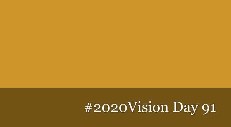 2020vision day 91.jpg