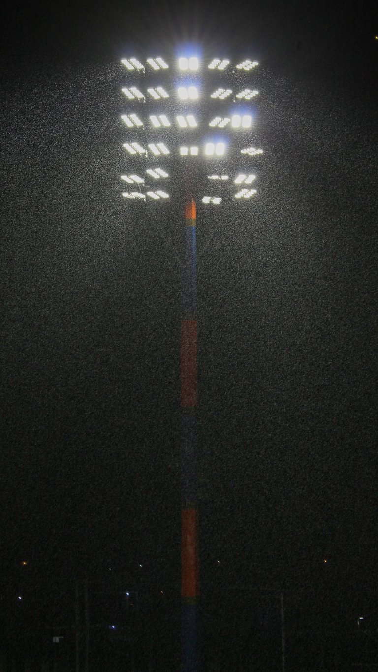 torre.jpg