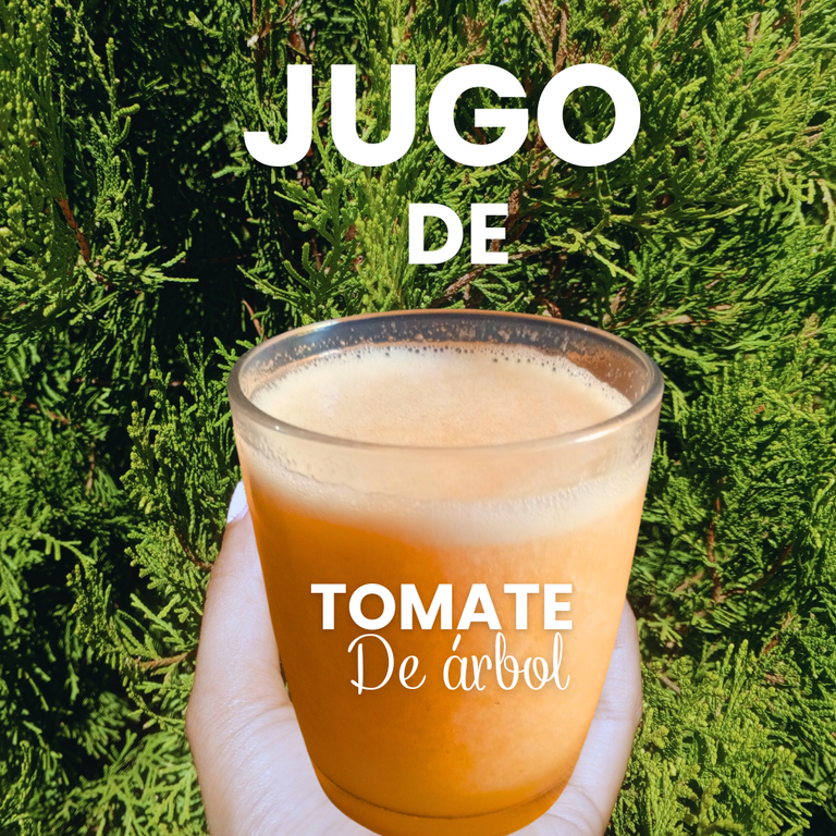 Historia para Instagram Receta Jugo Verde Minimalista Verde (Post de Instag_20241214_225806_0000.png