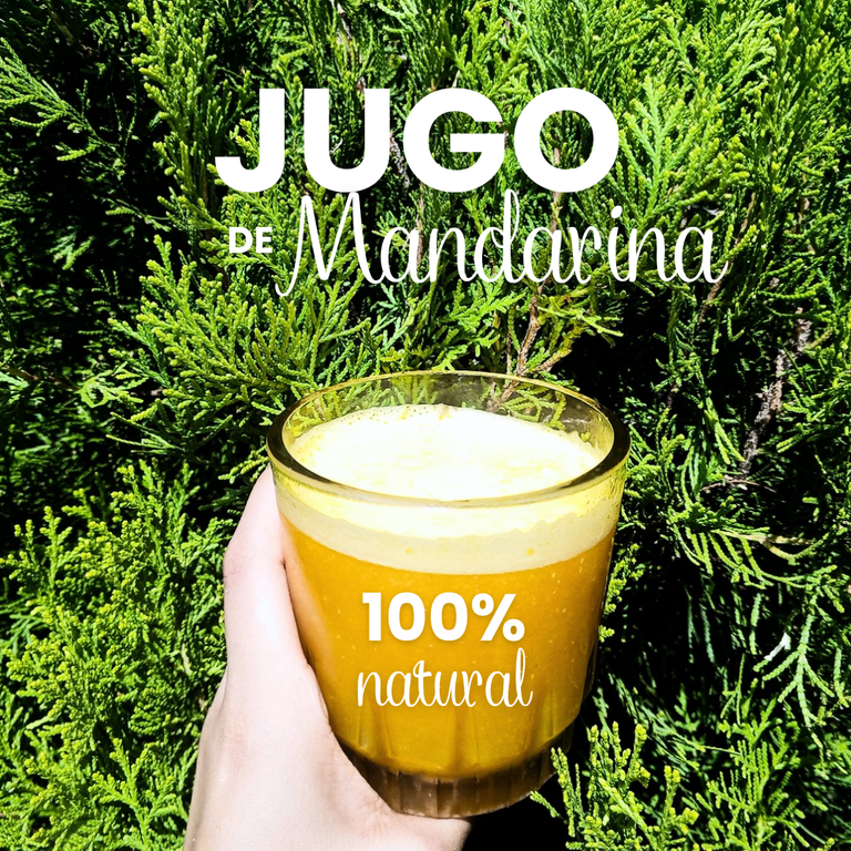 Post de Instagram Jugo de Naranja Llamativo Amarillo_20241128_134830_0000.png