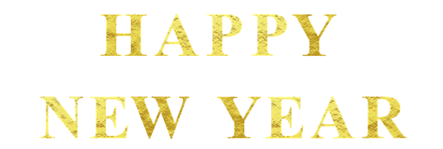 happy-new-year-gdeac5dd72_640.png