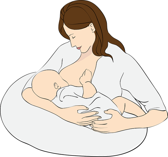 breast-feeding-g9f2909dbb_640.png