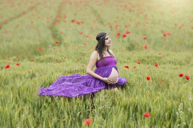 pregnancy-1580864_640.jpg