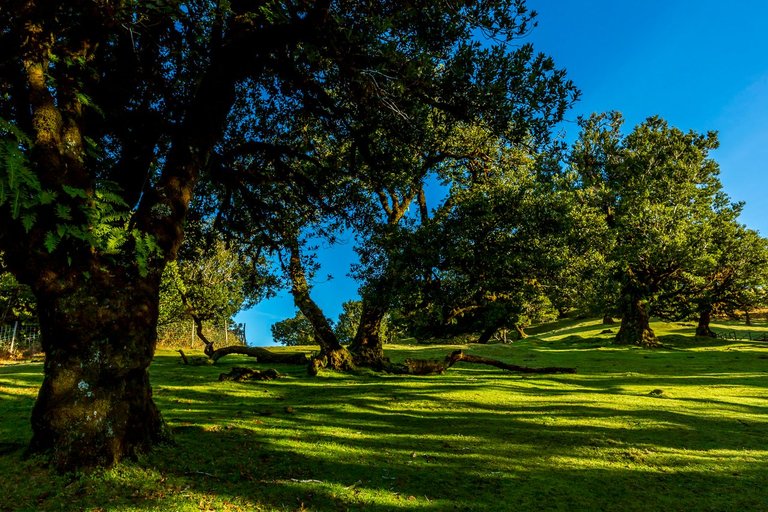 Travelling Madeira - Around Green Islaind