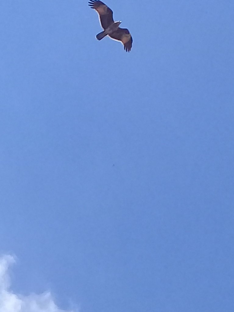 20220807_142114.jpg