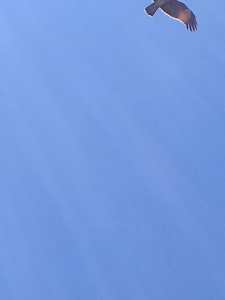 20220807_142116.jpg