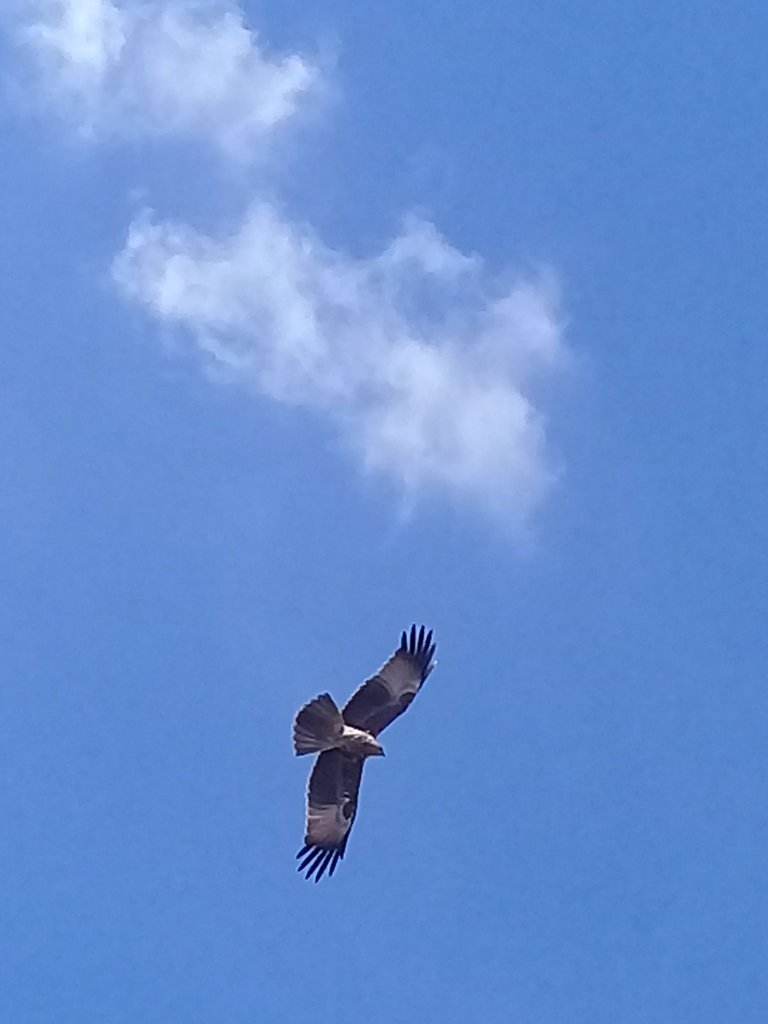 20220807_142123.jpg