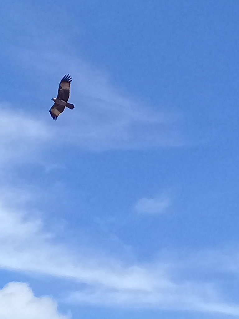 20220807_142104.jpg