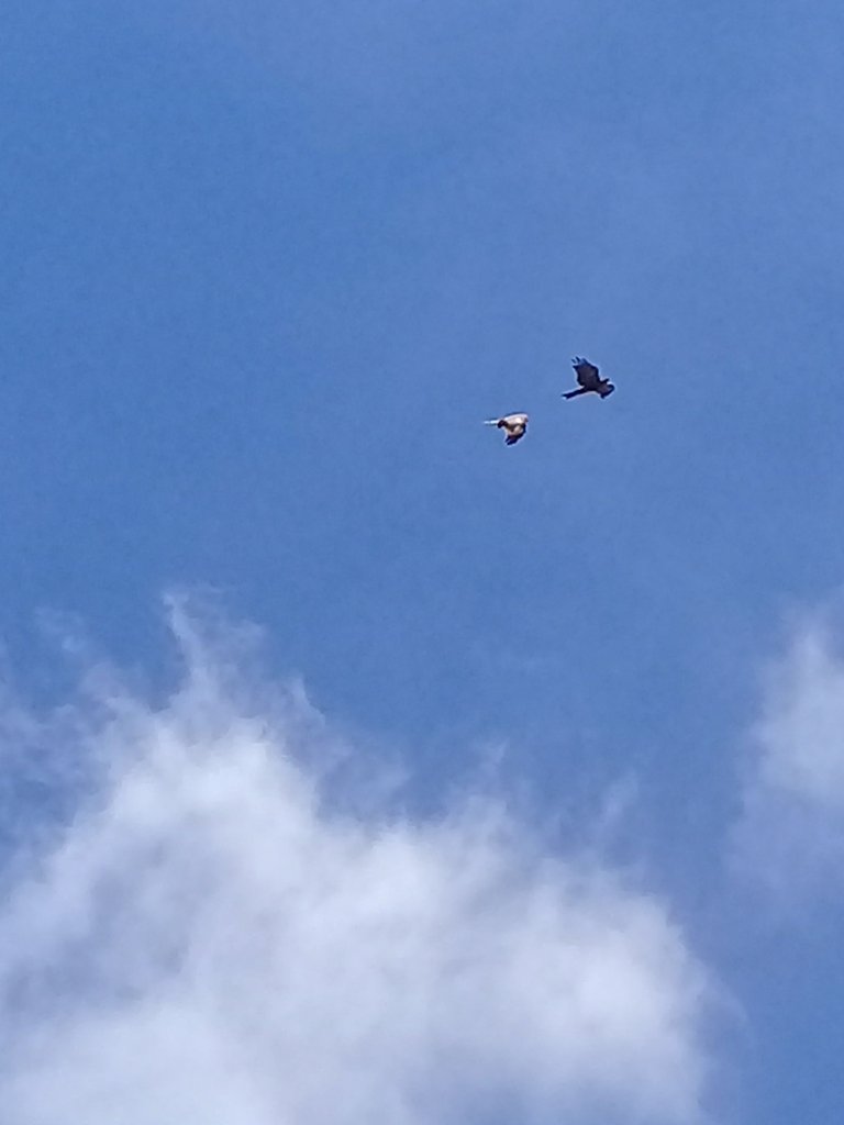 20220807_142437.jpg