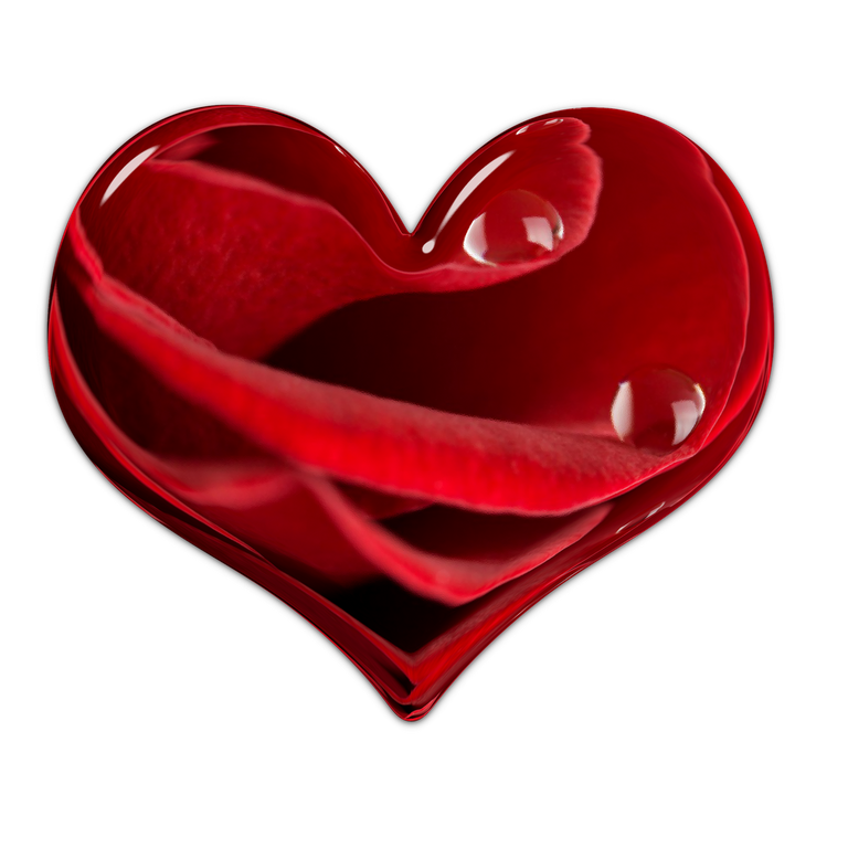 heart-2760094_1280.png