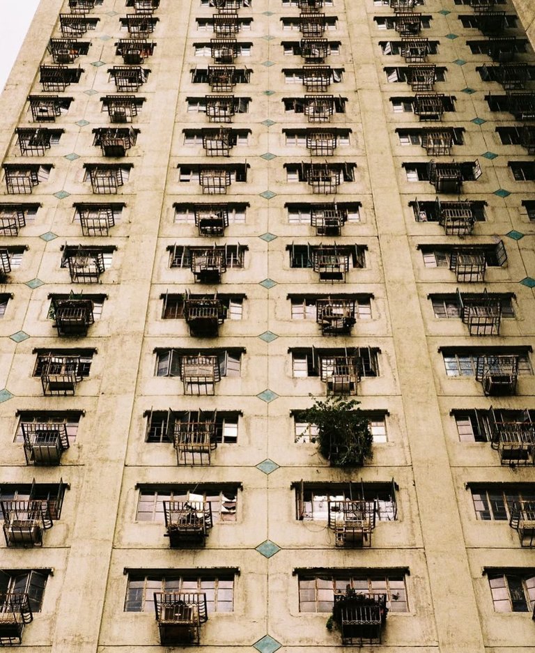 1000019140.jpg