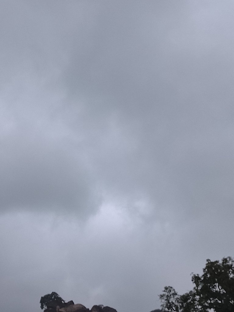 1000109493.jpg