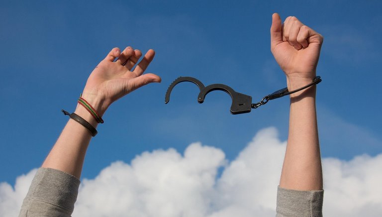 False Freedom
