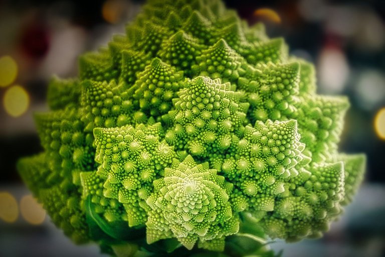 Rom 1 romanesco-3920110_1920.jpg