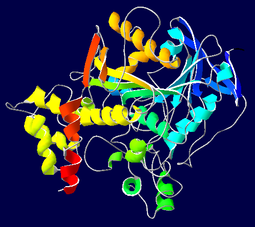 Acetylcholinesterase-1EA5.png