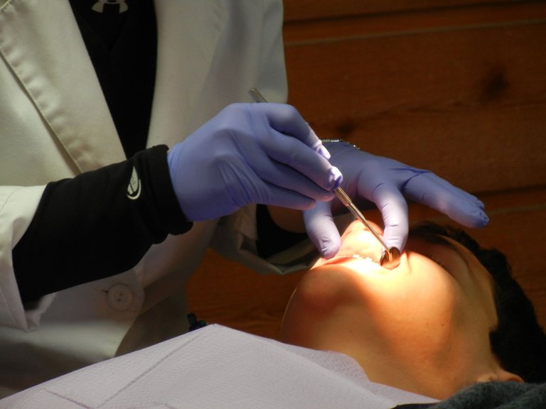 orthodontist-287285.jpg