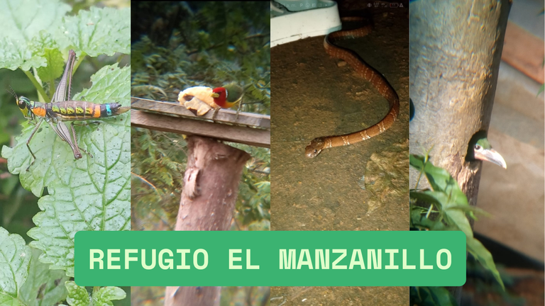 refugio el manzanillo.png