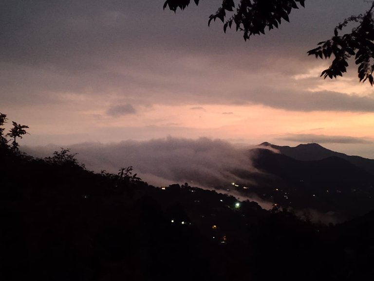 WhatsApp Image 2025-06-22 at 7.56.45 PM.jpeg