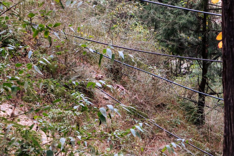 Malana Trek (12).jpg