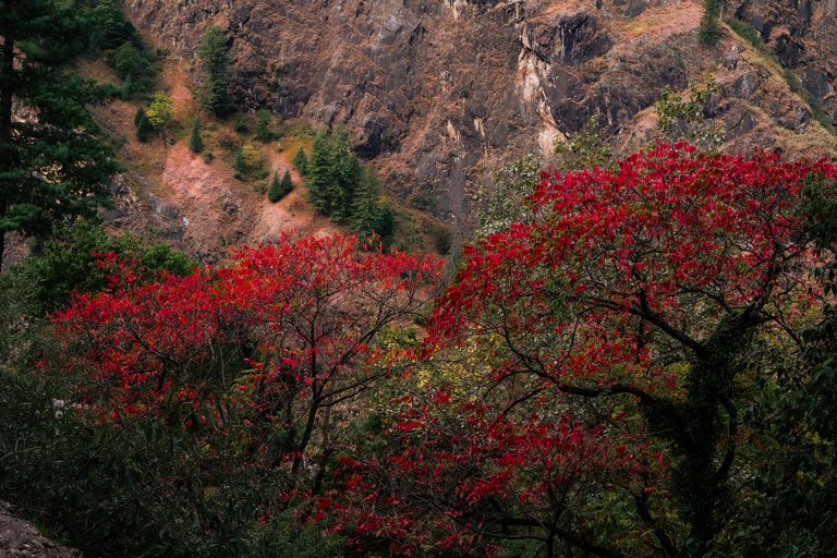 Malana Trek (24).jpg