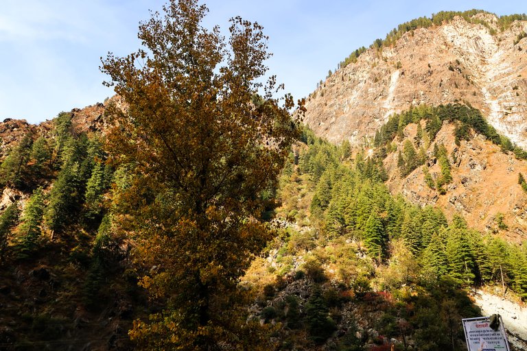 Malana Trek (39).jpg