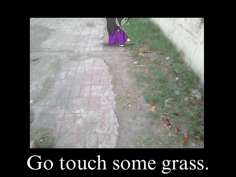 Go touch some grass..png